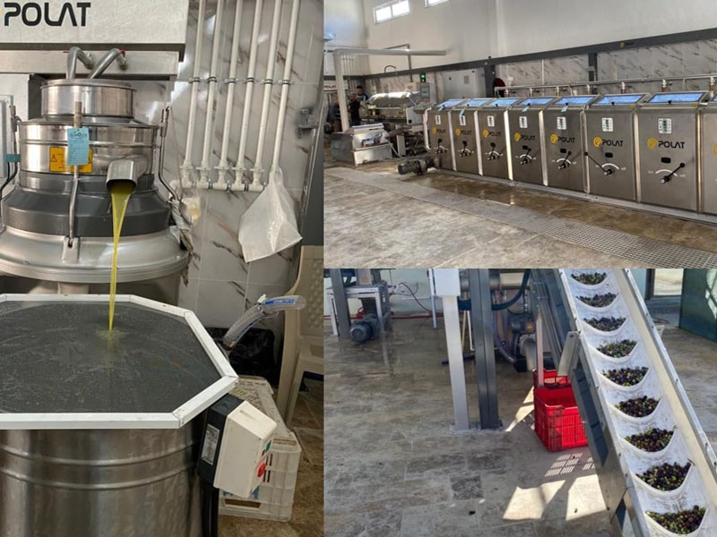 2024 Yılı GünOlive Zeytinyağı Fabrikamız Hazır!